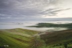 Nel silenzio.. emerge la nebbia nella valle. Lajatico Nel silenzio.. emerge la nebbia nella valle. Lajatico