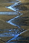Zig zag Zig zag
