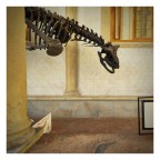 A spasso col cellulare 9..Strani incontri A spasso col cellulare 9..Strani incontri