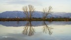 Riflessi.. Riflessi..