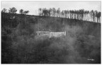La casa nel bosco.. La casa nel bosco..