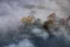 Nebbie dalle ombre alla luce Nebbie dalle ombre alla luce
