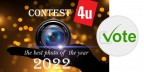 Contest 1017 la nostra foto migliore del 2022 IN VOTAZIONE Contest 1017 la nostra foto migliore del 2022 IN VOTAZIONE
