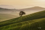 Solitario sul crinale.. Solitario sul crinale..