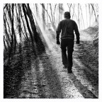 Controluce nel bosco