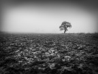 dalla terra alla nebbia II dalla terra alla nebbia II