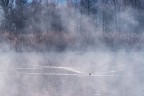 una fredda mattina di gennaio una fredda mattina di gennaio