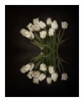 Di Bianco Vestiti Di Bianco Vestiti