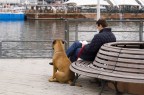 L'amico paziente L'amico paziente