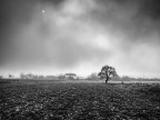 un puntino nel cielo un puntino nel cielo