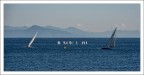 Sole e ombra