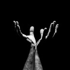 Per un fiore � troppo lunga la notte