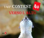 140� Contest: VERSO L'ALTO