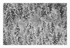 texture invernale texture invernale