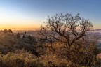 una quercia.......e non solo una quercia.......e non solo