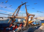 Ritorno da pesca Ritorno da pesca