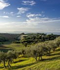 campagna Toscana