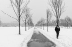 inverno inverno