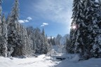 Val Fiscalina Val Fiscalina
