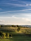campagna Toscana II
