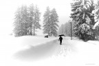 Passeggiata sotto la neve Passeggiata sotto la neve