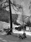 Sesto Pusteria (BZ)

Ho portato la foto in bianco e nero per rendere meno anonimo lo scatto.