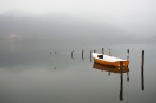 Nebbia lacustre