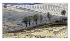 Campagna siciliana Campagna siciliana