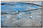 Pianeti e satelliti Pianeti e satelliti