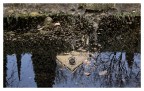 Riflesso Riflesso