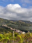 tra il cielo e la vigna tra il cielo e la vigna
