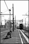 Senza Meta Senza Meta