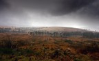 Storm Storm