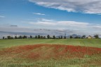 Paesaggio_in_movimento_Apr2023_1