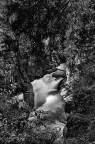Travignolo Gorge Travignolo Gorge