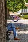il miraggio occidentale il miraggio occidentale