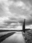 grigio Toscano grigio Toscano