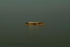 ...isola...ta... ...isola...ta...