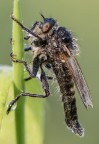 Macro_Giu2023_1 Macro_Giu2023_1