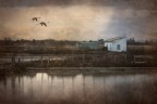 Camargue Camargue