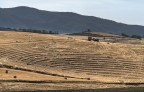 campi estivi III campi estivi III