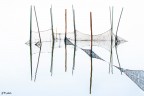 Riflessi Riflessi