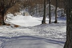 la casa nella neve la casa nella neve