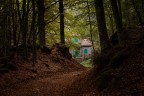la casetta nel bosco