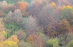 Bosco misto di ottobre Bosco misto di ottobre