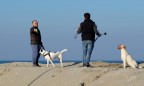 Mondo cane.... Mondo cane....