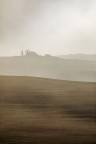 Quando la nebbia accarezza le colline Quando la nebbia accarezza le colline