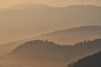 Profili collinari nell'alba nebbiosa Profili collinari nell'alba nebbiosa