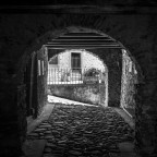 La mia gratitudine a tutti coloro che con la massima sincerit� vorranno commentare, criticare e/o suggerire