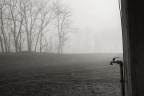 Liquidazione Liquidazione